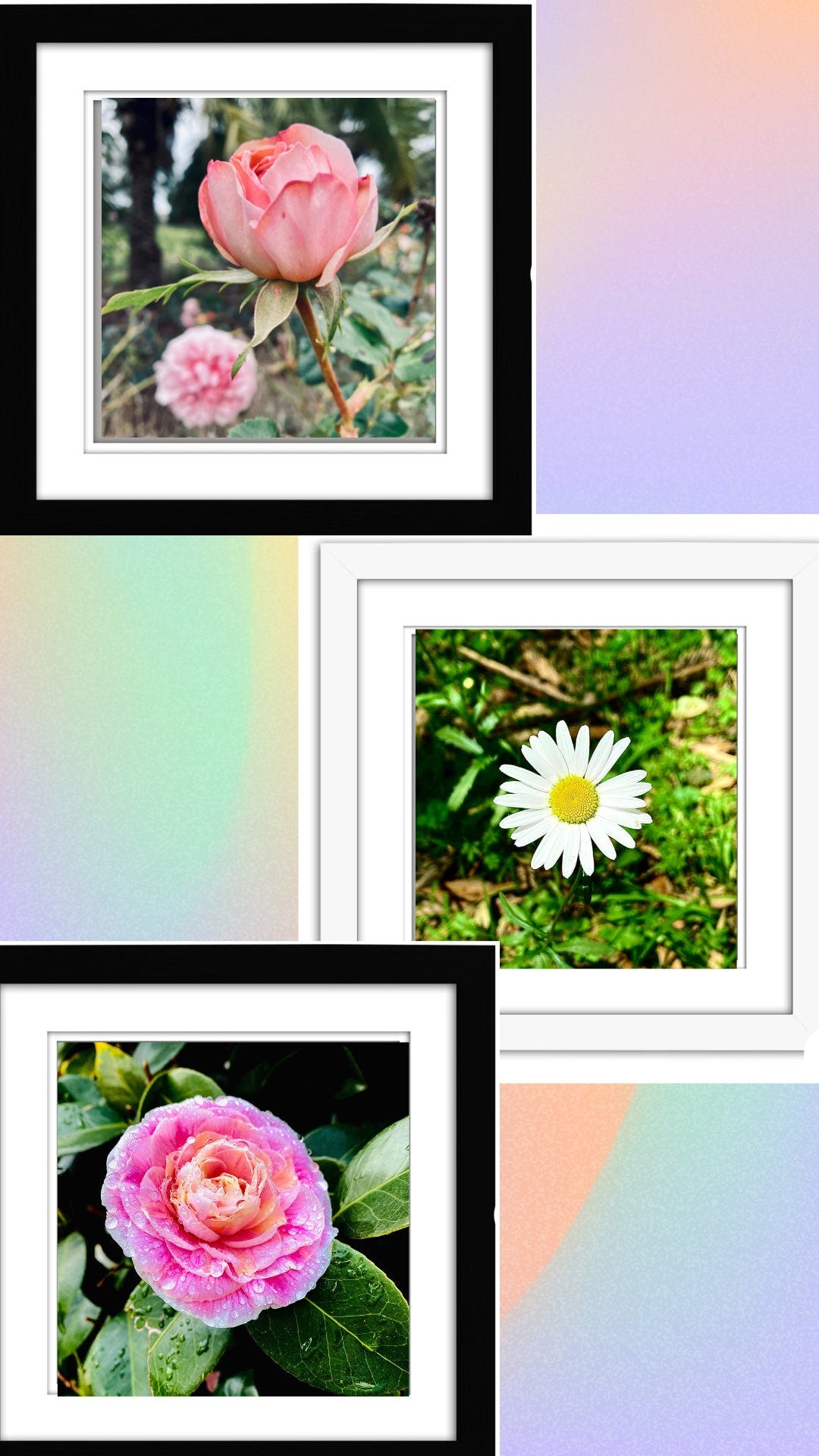 Purple Floral Dreams photo print (with or without framing)